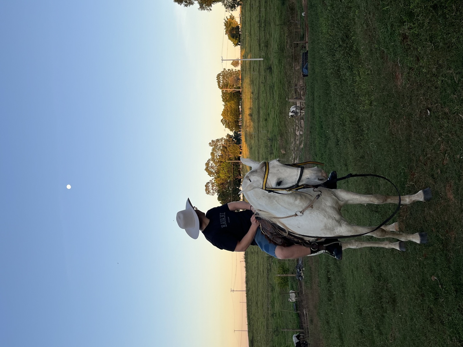 Person reitet bei Sonnenuntergang über eine Wiese