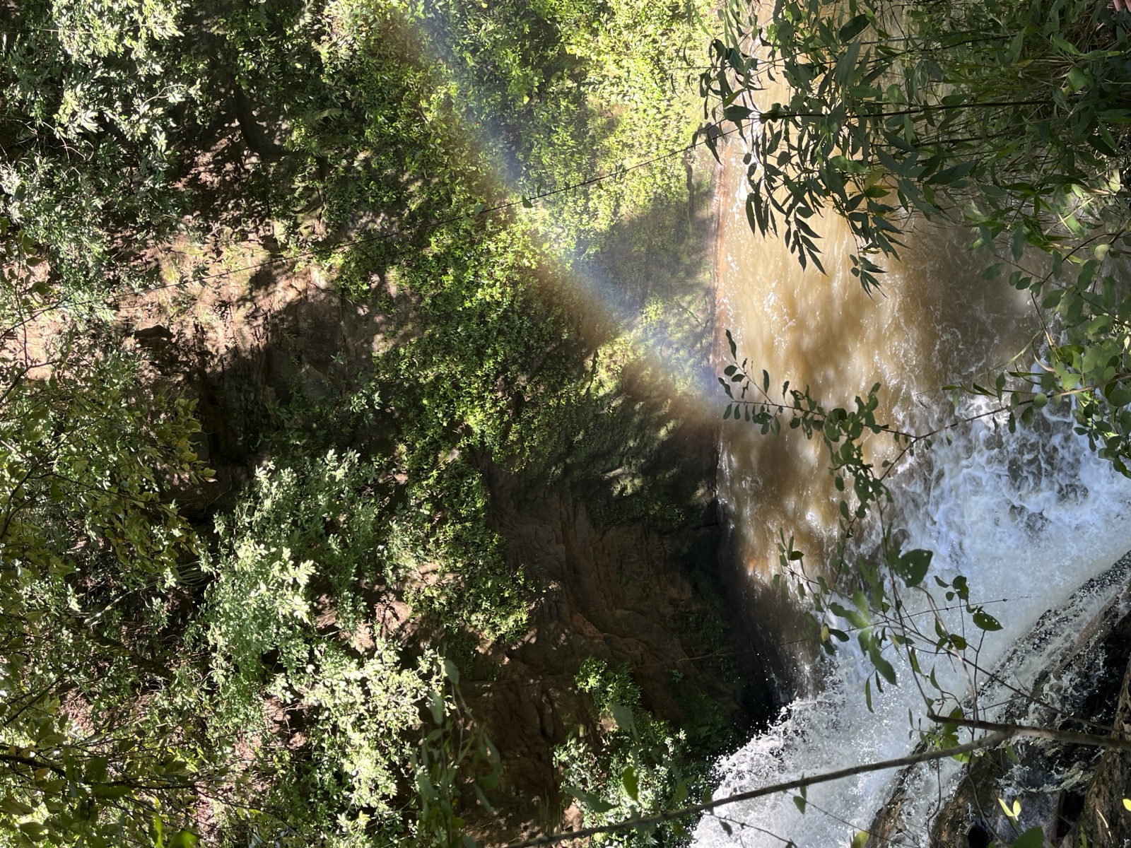 Wasserfall mit Regenbogen im Wald