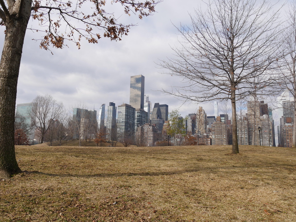 Skyline von Manhattan, gesehen von Roosevelt Island